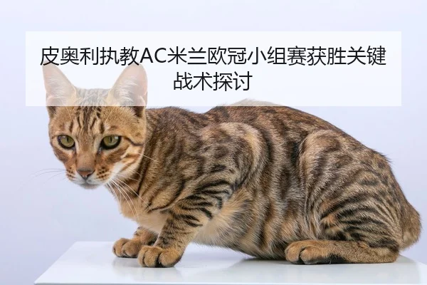 皮奥利执教AC米兰欧冠小组赛获胜关键战术探讨